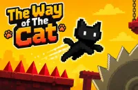 The Way of the Cat